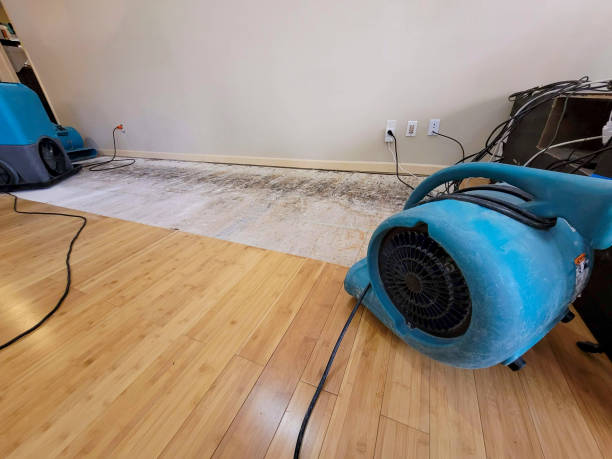 Professional Burst Pipe Water Damage technician working in Latham, MO